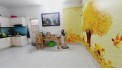 BAO ĐẦU TƯ – Nhà 2 Tầng DT6*22m Đường Tăng Nhơn Phú, Phước Long B, Gần Trường ĐH, Giá Chỉ 6,5 tỷ